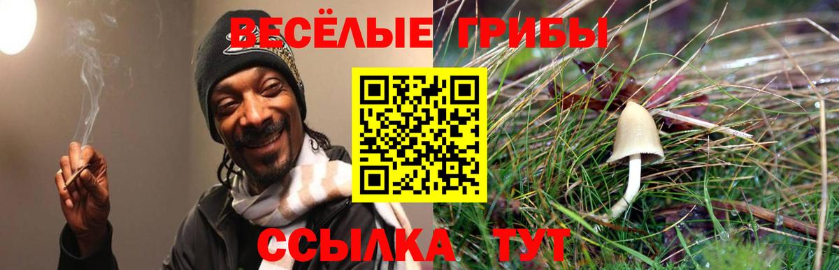 Курчалой  Галлюциногенные грибы Magic Shrooms  Вход с VPN 