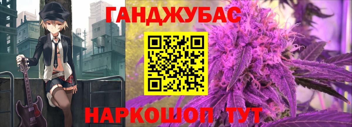 Курчалой  Конопля планчик  Вход с VPN  Канабис ГИДРОПОН 